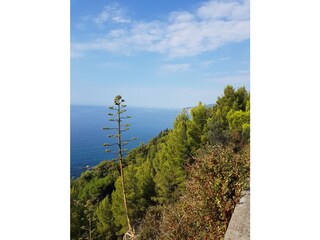 Appartamento per vacanze Badalucco Ambiente 34