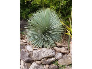 Vakantieappartement Badalucco Buitenaudio-opname 22