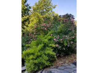 Appartamento per vacanze Badalucco Registrazione all'aperto 11