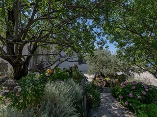 Casa per le vacanze Makarska Registrazione all'aperto 14