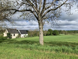 Cottage Rivarennes Outdoor Recording 12