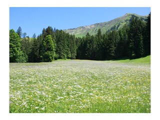 Casa per le vacanze Riezlern Ambiente 31