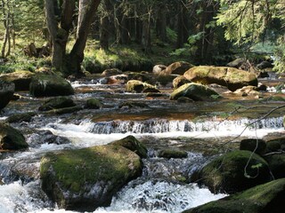 Kurpark in Schierke