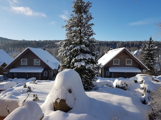 Ansicht von hinten