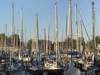 Hafen in Medemblik