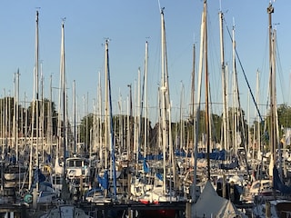 Holiday house Medemblik Environment 30