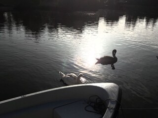 Casa per le vacanze Medemblik Ambiente 39