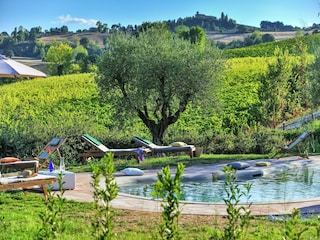 Villa Barchi Outdoor Recording 11
