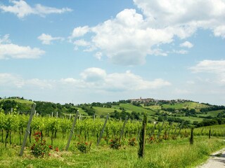 Villa Barchi Buitenaudio-opname 4
