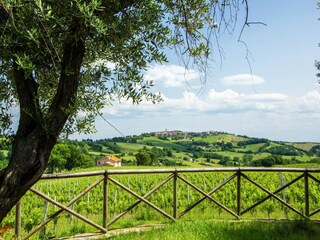 Villa Barchi Outdoor Recording 14