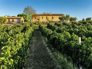 Villa Barchi Entorno 36