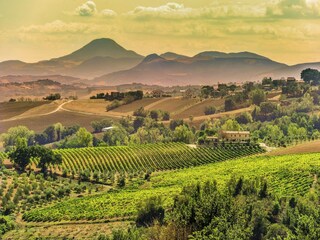 Villa Barchi Environnement 35