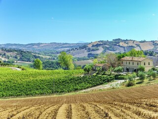 Villa Barchi Environnement 33