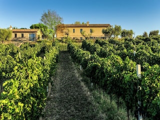 Villa Barchi Omgeving 38