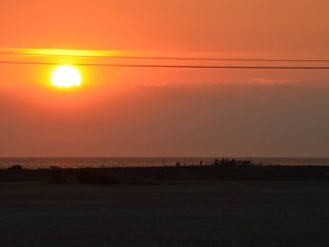 Ferienwohnung Fehmarn Hundeferien