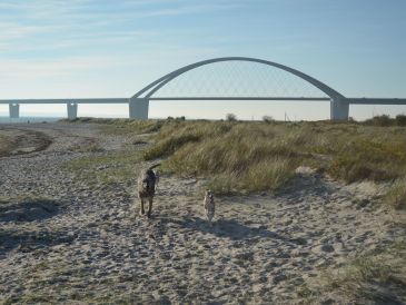 Ferienwohnung Fehmarn Hundeferien