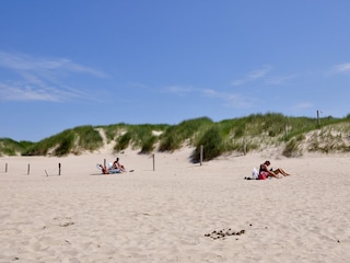 Bungalow Sint Maartenszee Umgebung 14