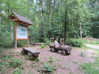 Waldlehrpfad in der Nähe unseres Hauses