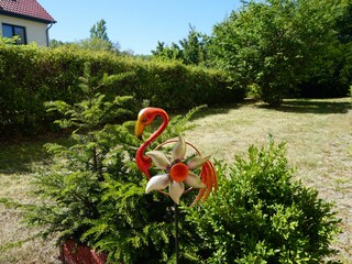 Ferienwohnung Kühlungsborn-West Außenaufnahme 8