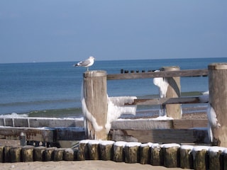 Ferienwohnung Kühlungsborn-West Umgebung 30