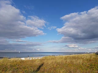 Ferienwohnung Kühlungsborn-West Umgebung 32