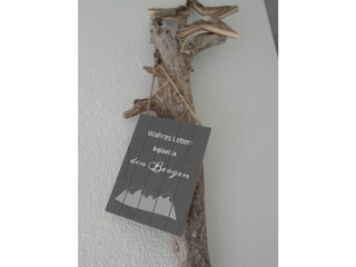 Appartamento per vacanze Wallgau Caratteristiche 20