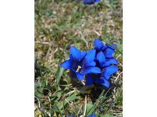 Appartamento per vacanze Wallgau Registrazione all'aperto 5