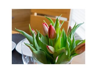 Ferienwohnung Norddeich Ausstattung 3