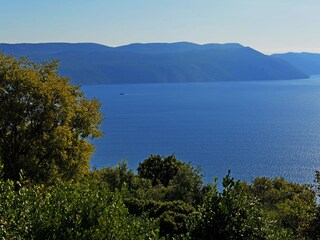 Blick von Veranda