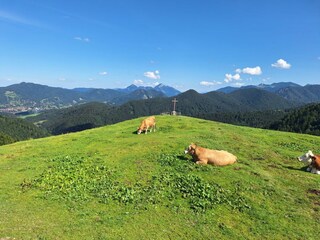 Kreuzbergalm direkt oberhalb des Hofes