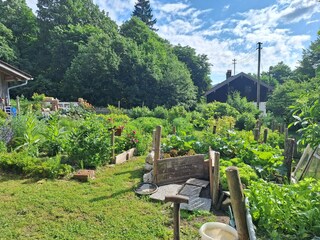 Blick vom Balkon in den Kräutergarten
