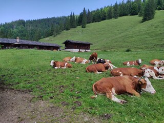 Valepprunde zur Ackernalm