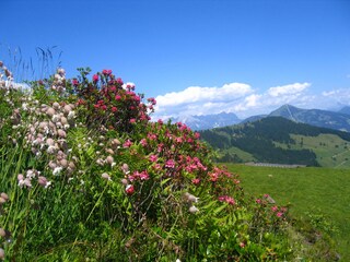 Appartamento per vacanze Wildschönau-Oberau  20