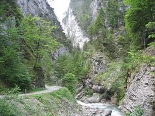 Appartamento per vacanze Wildschönau-Oberau  21