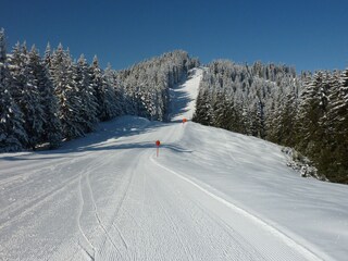 Appartamento per vacanze Wildschönau-Oberau Documento 23