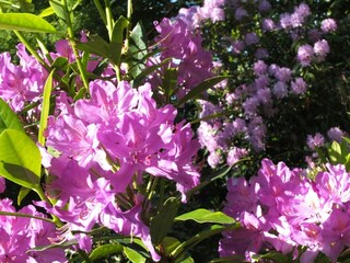 Casa per le vacanze Pleumeur-Bodou Registrazione all'aperto 6