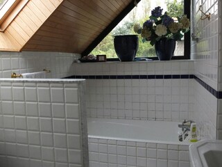 Casa per le vacanze Pleumeur-Bodou Caratteristiche 16