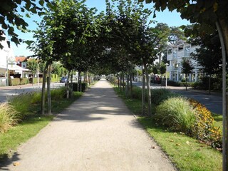 Vakantieappartement Baabe Omgeving 14
