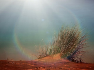 Holiday apartment Borkum Environment 18