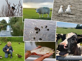 Casa per le vacanze Makkum Ambiente 37