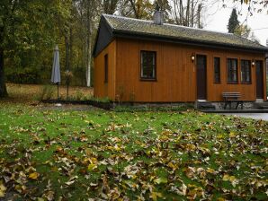 Attraktives Chalet in Vielsalm mit großem Garten - Vielsalm - image1