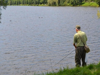 Chalet Vielsalm Environment 39