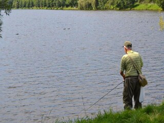 Chalet Vielsalm Environnement 39