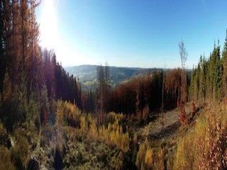 Chalet Vielsalm Environment 30