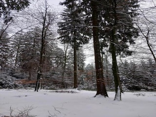 Chalet Vielsalm Umgebung 31