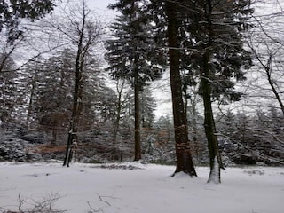Chalet Vielsalm Omgeving 36