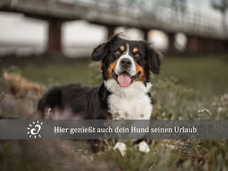 Ferienwohnung Dorum-Neufeld Ausstattung 22