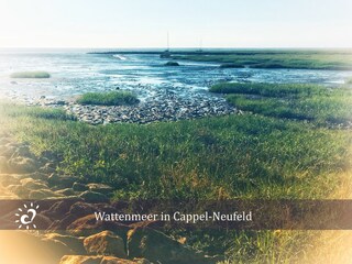 Cappel-Neufeld
