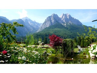Romantischer Teich in unserem Garten