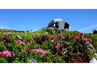 Appartamento per vacanze Grainau Ambiente 27